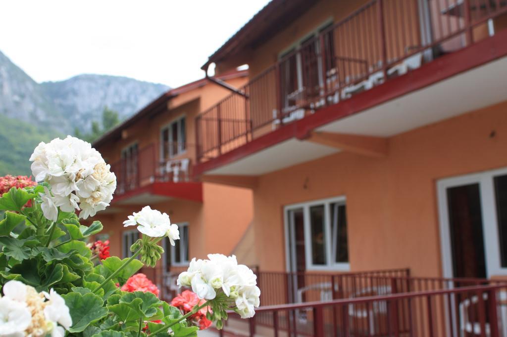 Pensiune Safrane Băile Herculane Extérieur photo