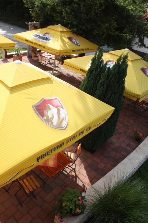 Pensiune Safrane Băile Herculane Extérieur photo