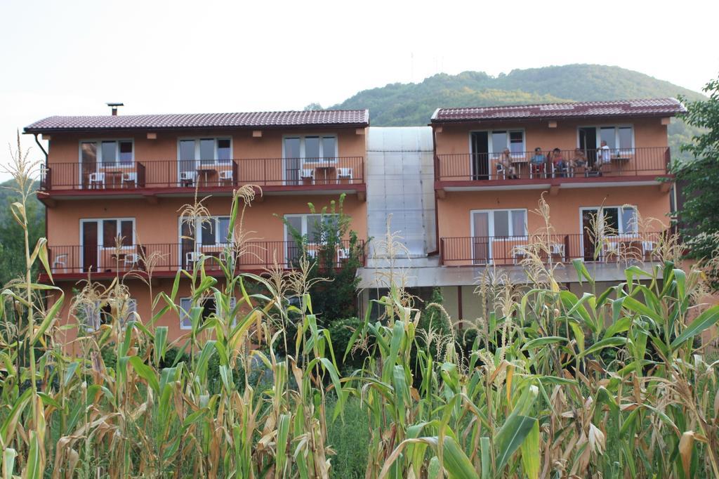 Pensiune Safrane Băile Herculane Chambre photo